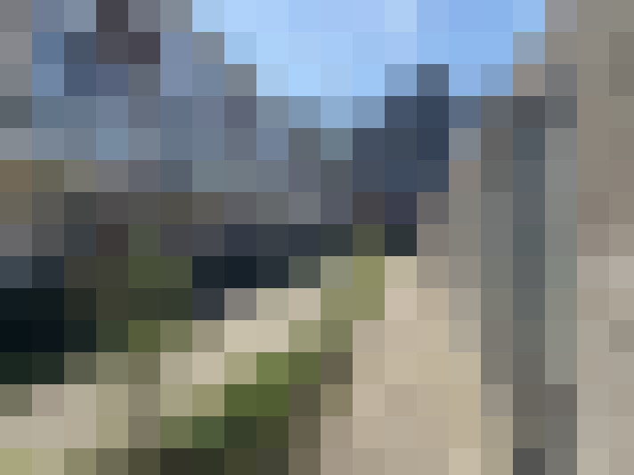  / #31