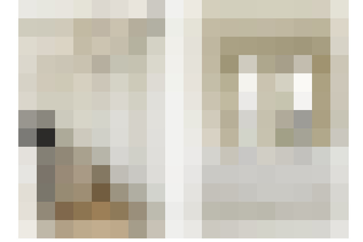  / #20