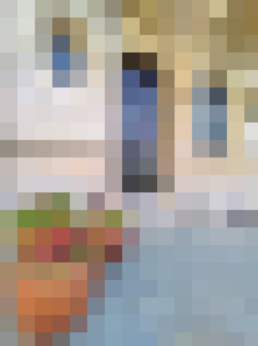  / #51