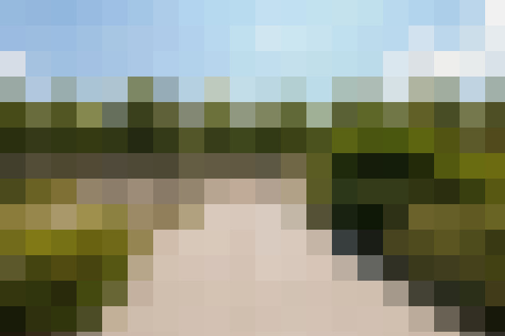  / #58