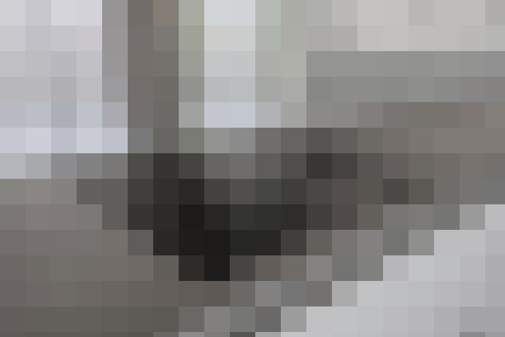  / #17