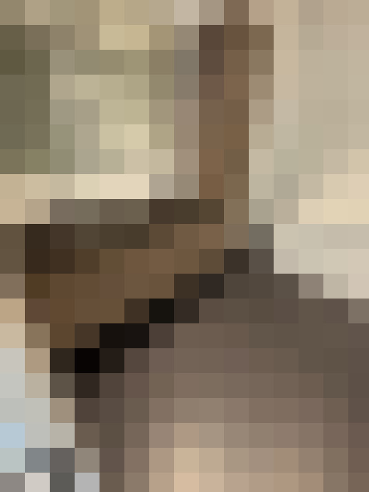  / #13