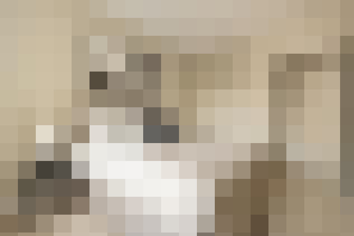  / #16