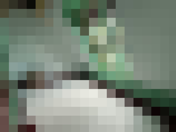  / #16