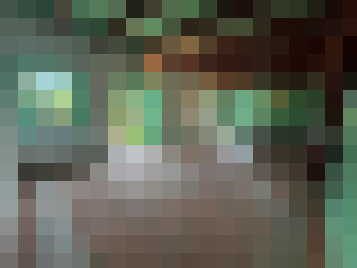  / #6