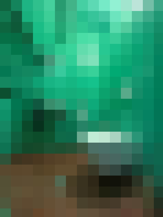  / #12