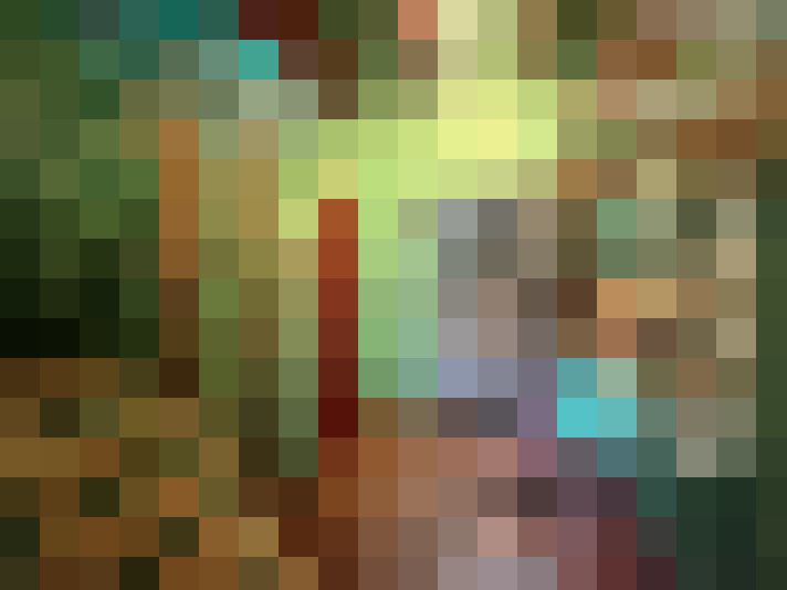  / #11