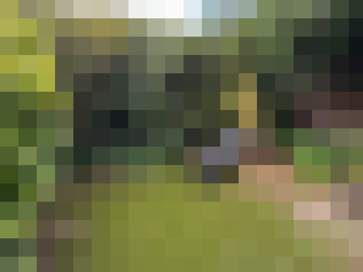  / #16