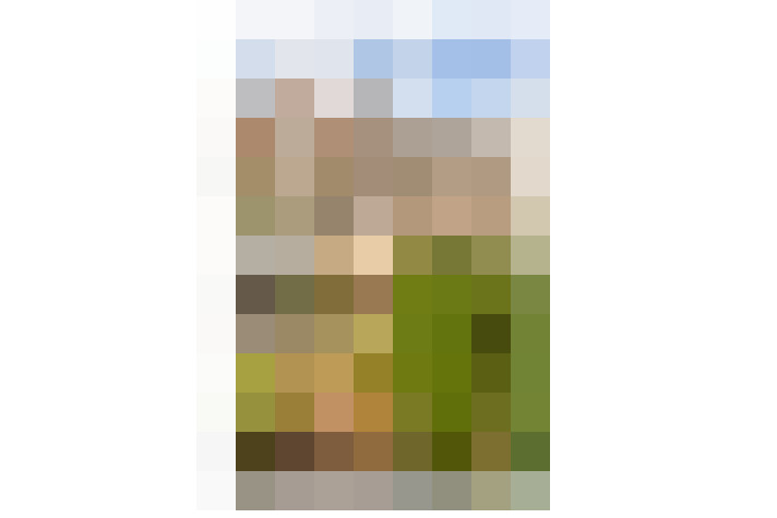  / #12