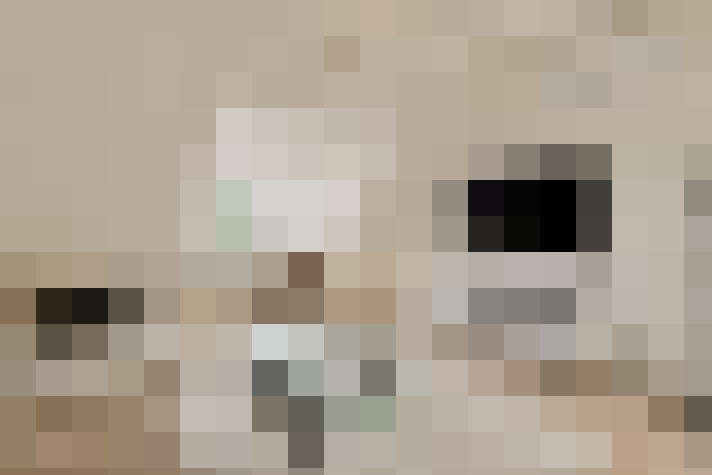  / #21