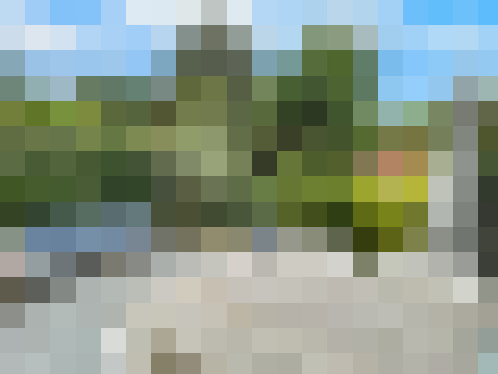  / #16