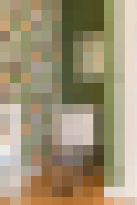  / #61