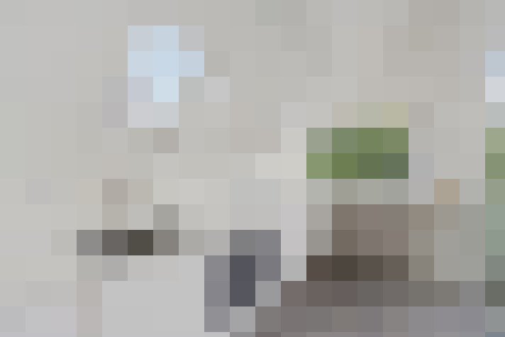  / #6