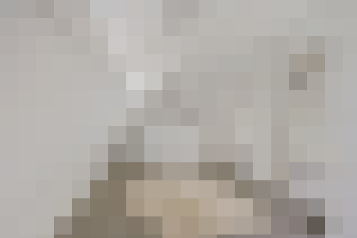  / #18