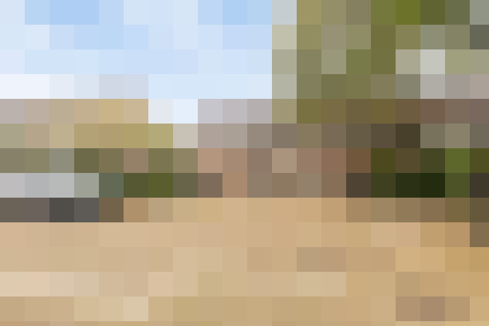  / #16
