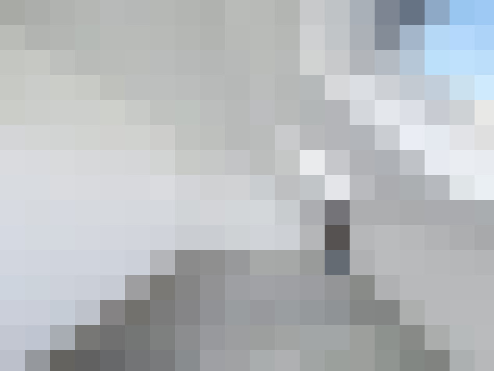  / #16