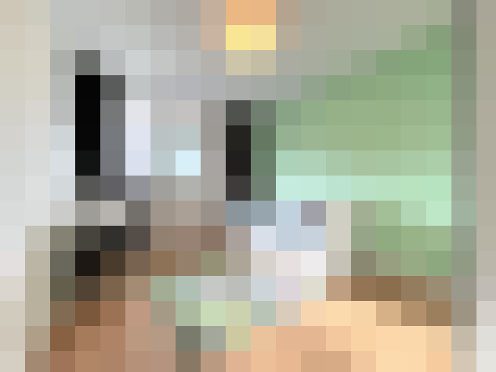  / #15