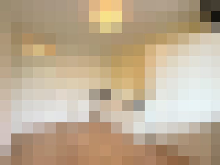  / #18