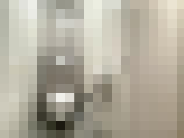  / #19