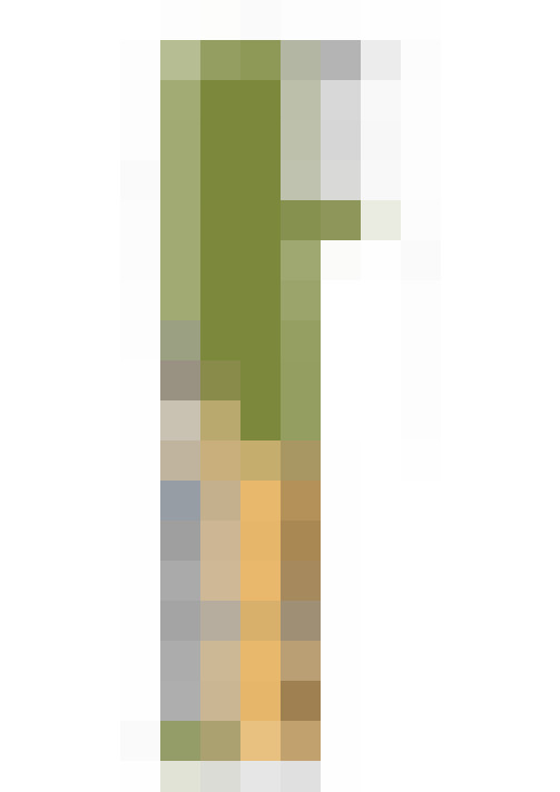  / #73