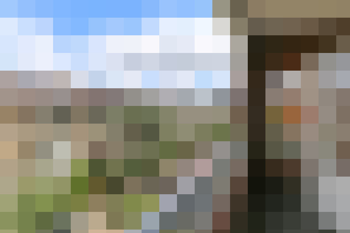  / #61