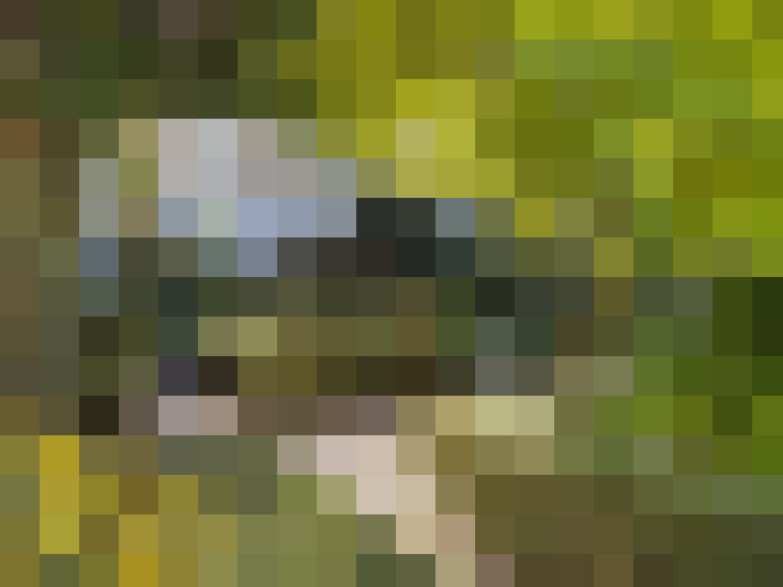  / #53