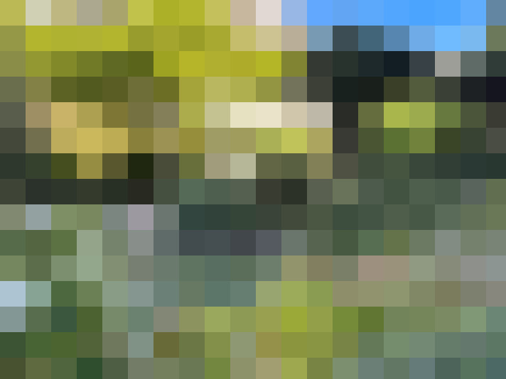  / #51