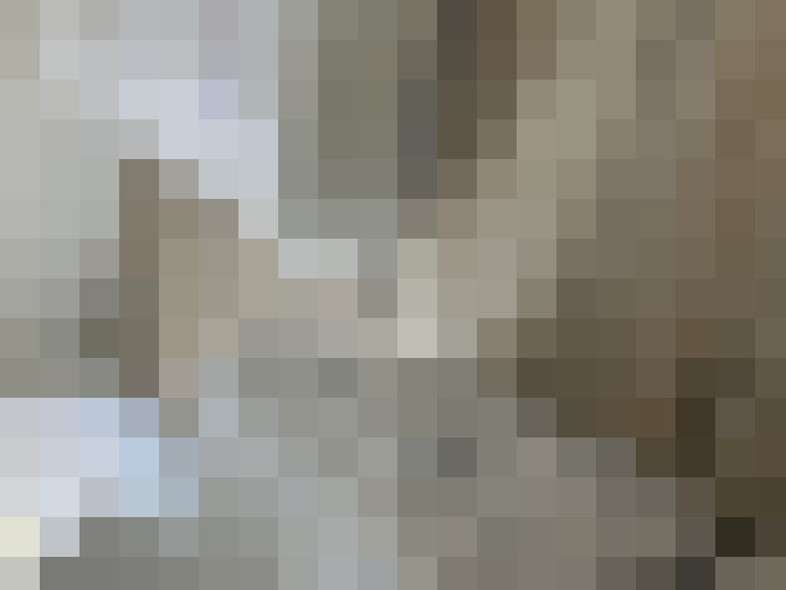  / #17