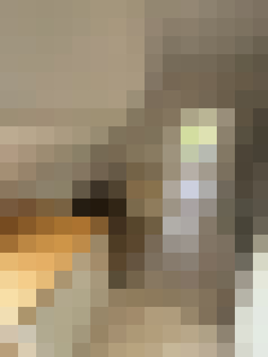  / #15