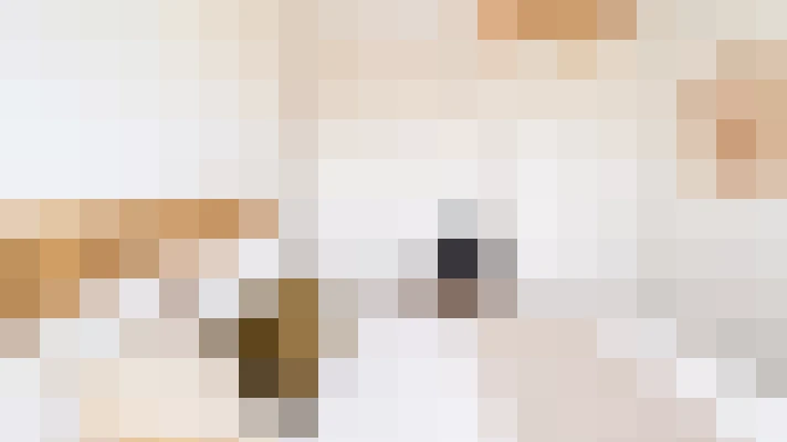  / #18
