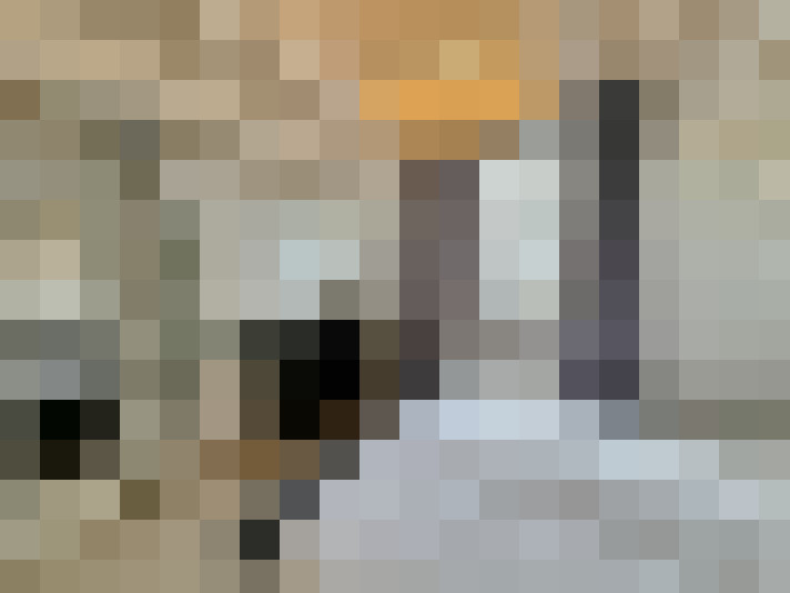  / #20