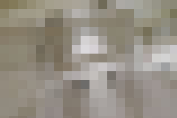  / #34
