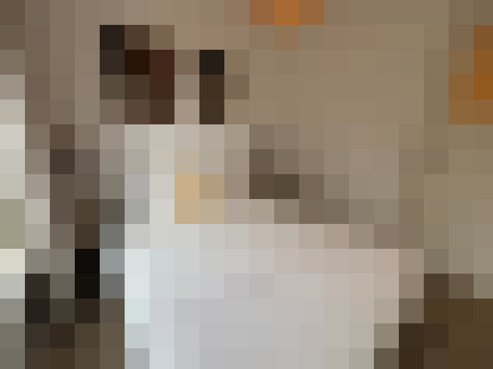 / #12