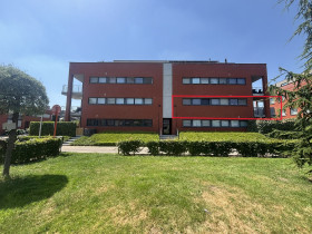 Mieszkanie — Hasselt