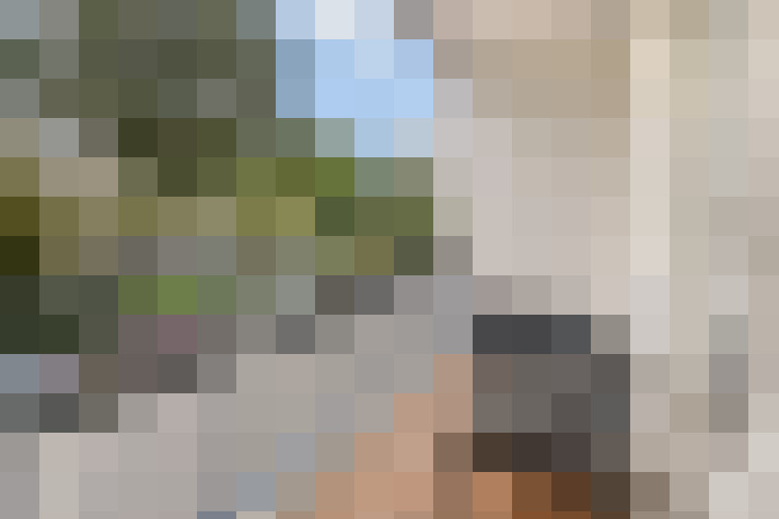  / #6