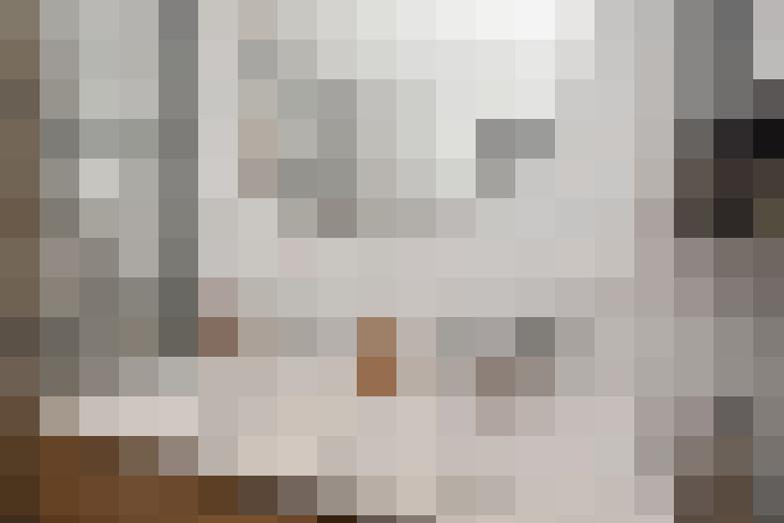  / #24