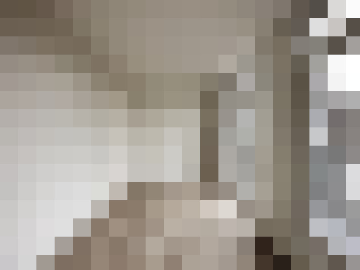  / #17