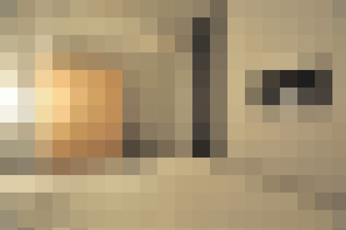  / #8