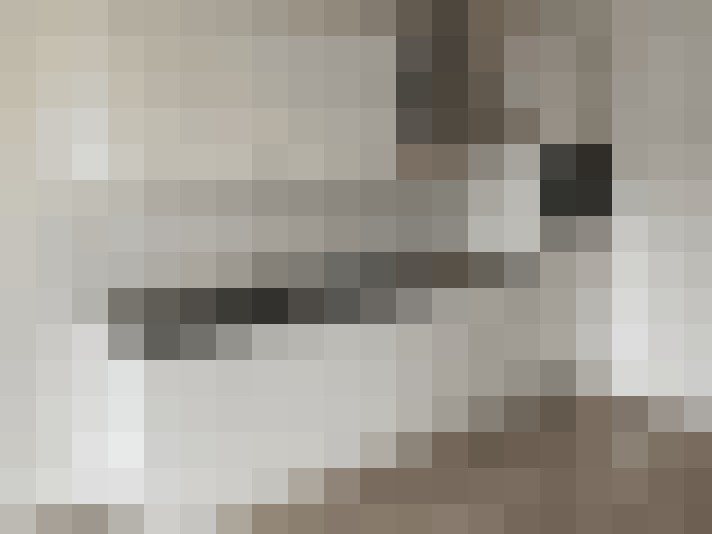  / #15