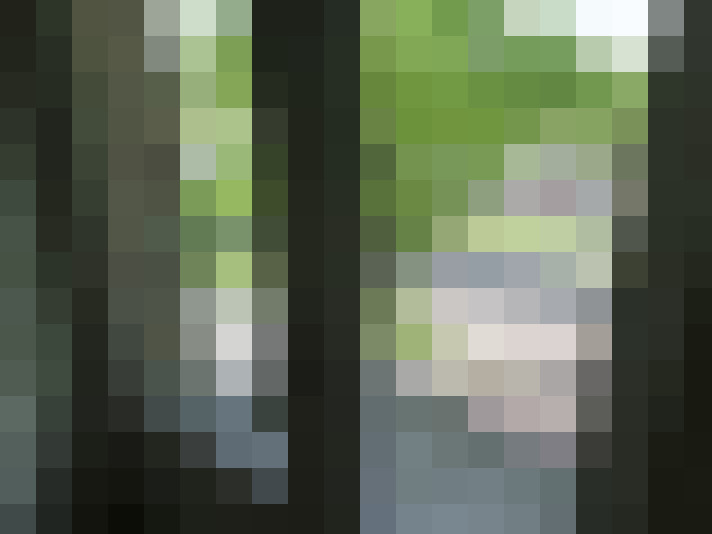  / #15
