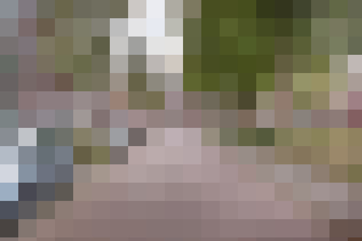  / #16
