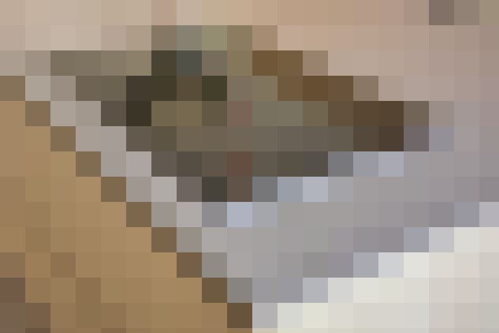  / #28
