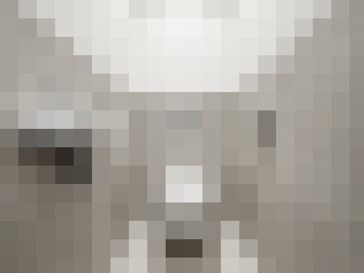  / #14