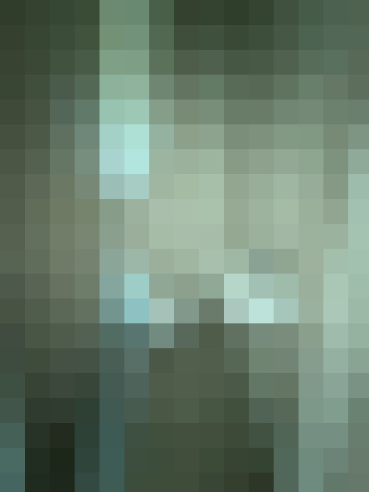  / #15