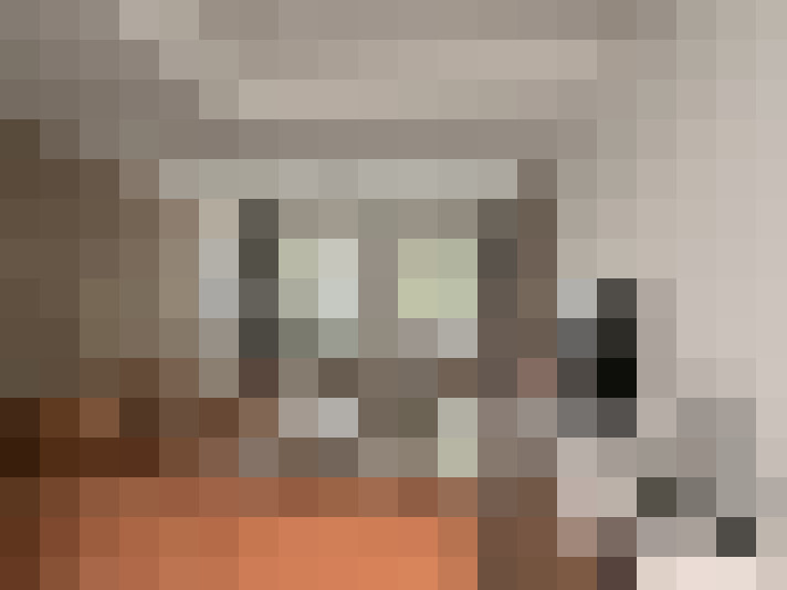  / #16