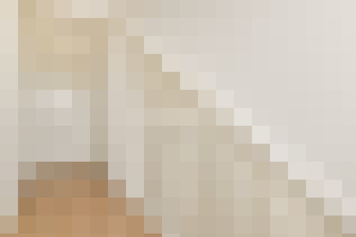  / #21