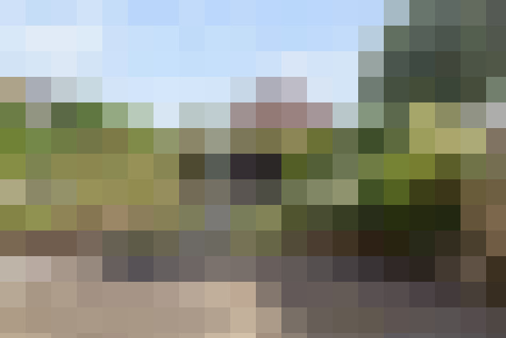  / #67