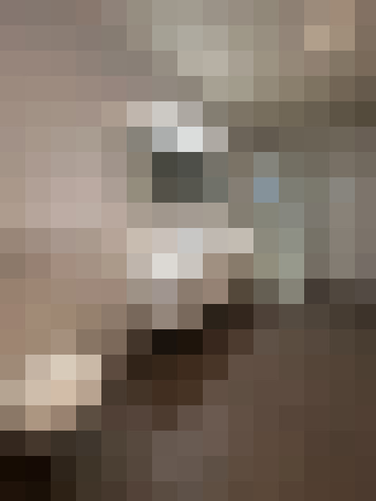  / #11