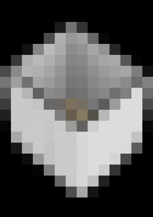  / #33
