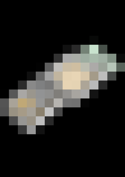  / #31